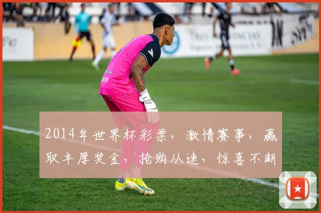 2014年世界杯彩票，激情赛事，赢取丰厚奖金，抢购从速，惊喜不断