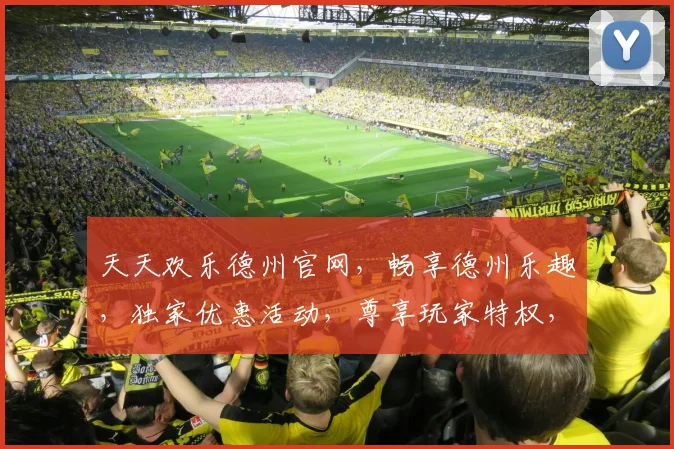 天天欢乐德州官网，畅享德州乐趣，独家优惠活动，尊享玩家特权，三重惊喜等你来
