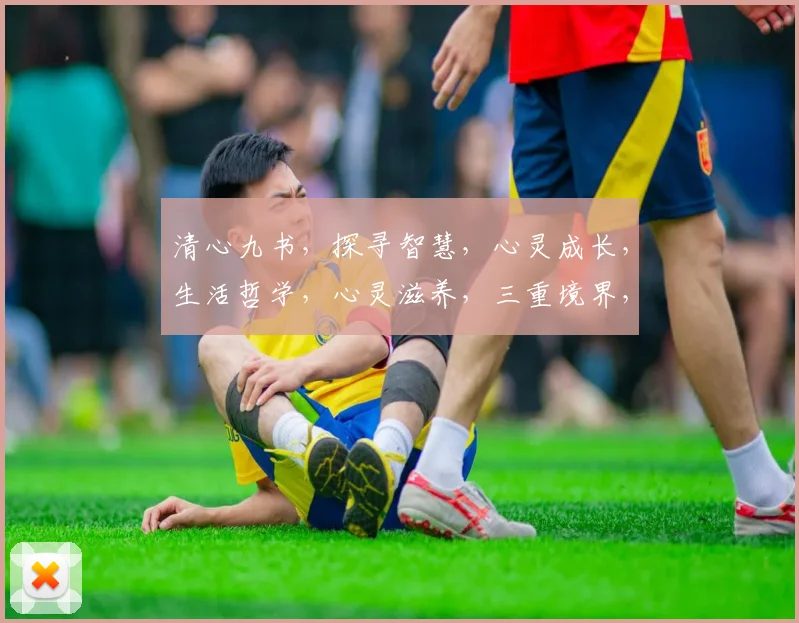 清心九书，探寻智慧，心灵成长，生活哲学，心灵滋养，三重境界，心灵之旅
